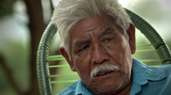 José Marcelino