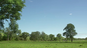 Terras dos índios Kadiwéu, 2014